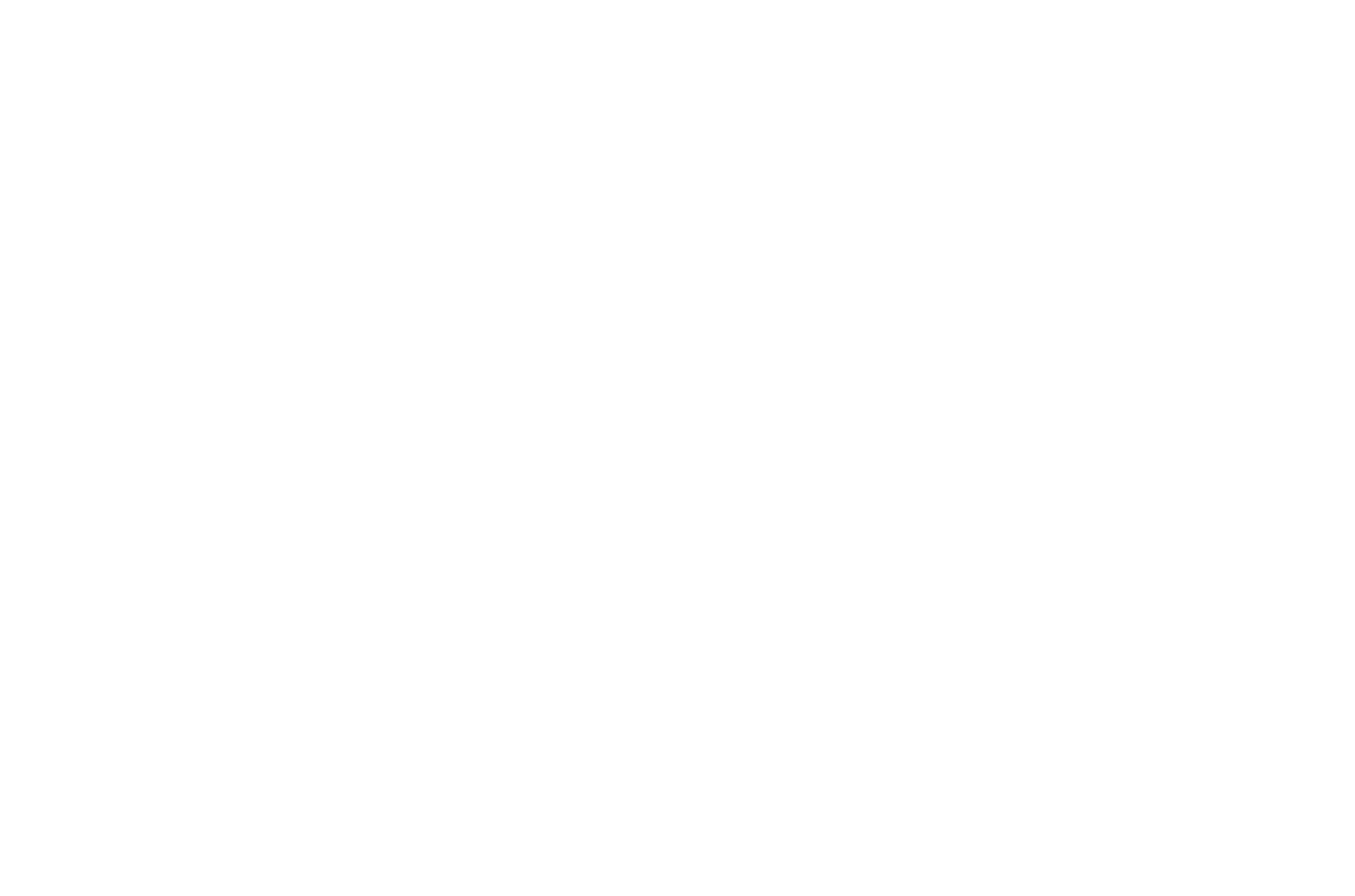 Magneto